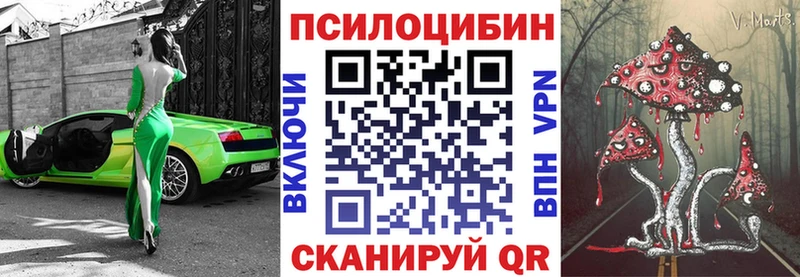 Купить закладки  Бузулук  Псилоцибиновые грибы Magic Shrooms 